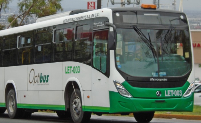 linea.1